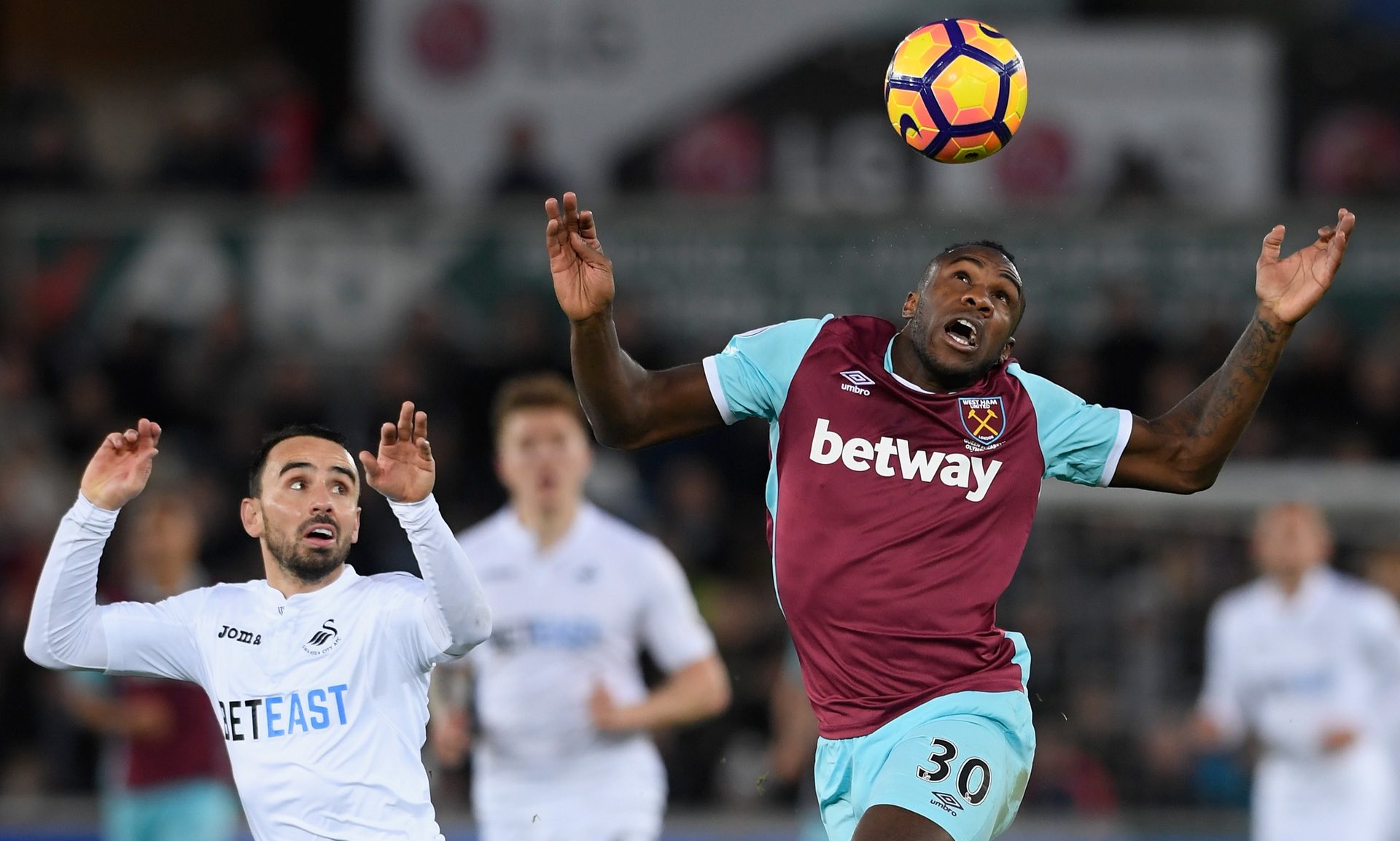 曾在一个夏 曾在一个夏